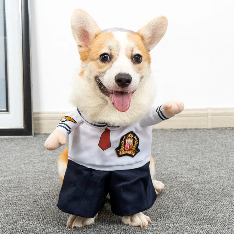 Funny Cat Clothes Dog Cat Cosplays Clothes Pet Jumpsuit Suit Dog Dress Chihuahua French Bulldog Dog Outfits Clothing