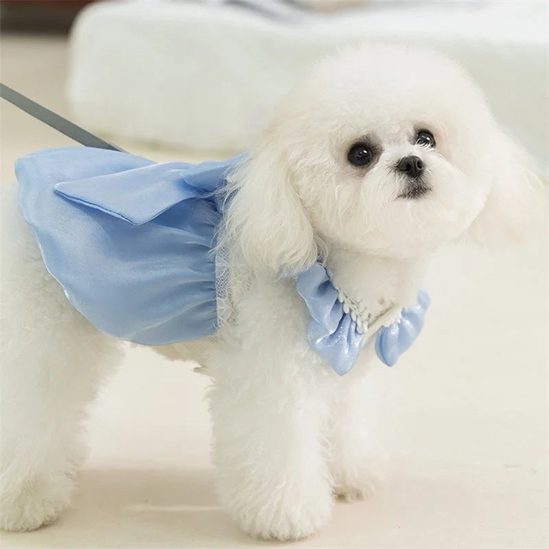 Adorable Small Dog Tutu Dress with Bowknot Lace Princess Puppy Clothes Outfit Apparel Female Cute Cat Skirt Patchwork Pet Dress
