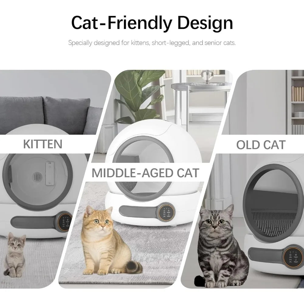 Self-Cleaning Litter Box with a 5.4-inch Low-Entry Design and Dual Safety Guards, Specially Crafted for Kittens, Dwarf Cats,Cust