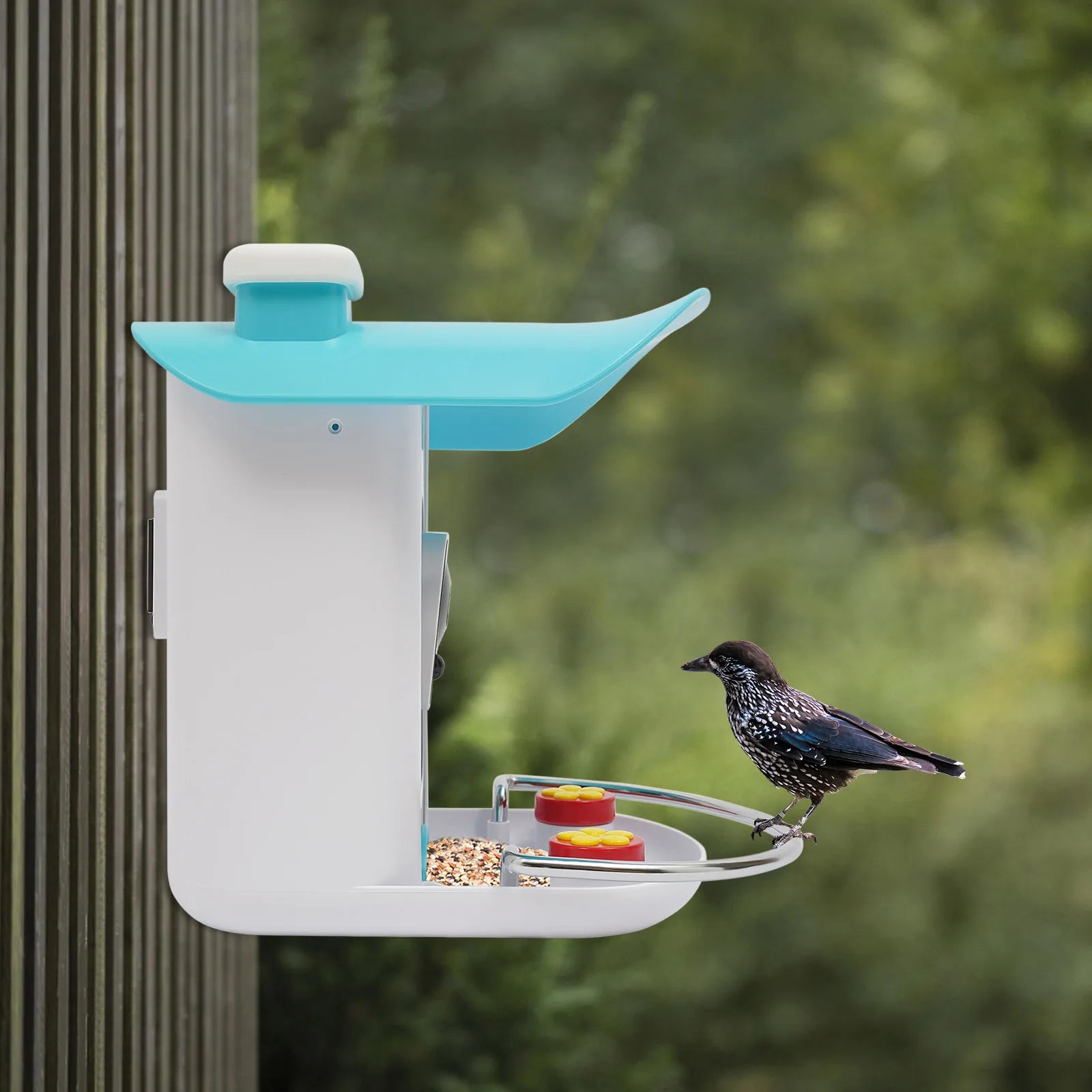 Smart Bird Feeder with Camera, Bird House for Outside, Bird Auto Capture with Solar Panel Can Attract Sparrows, Hummingbirds