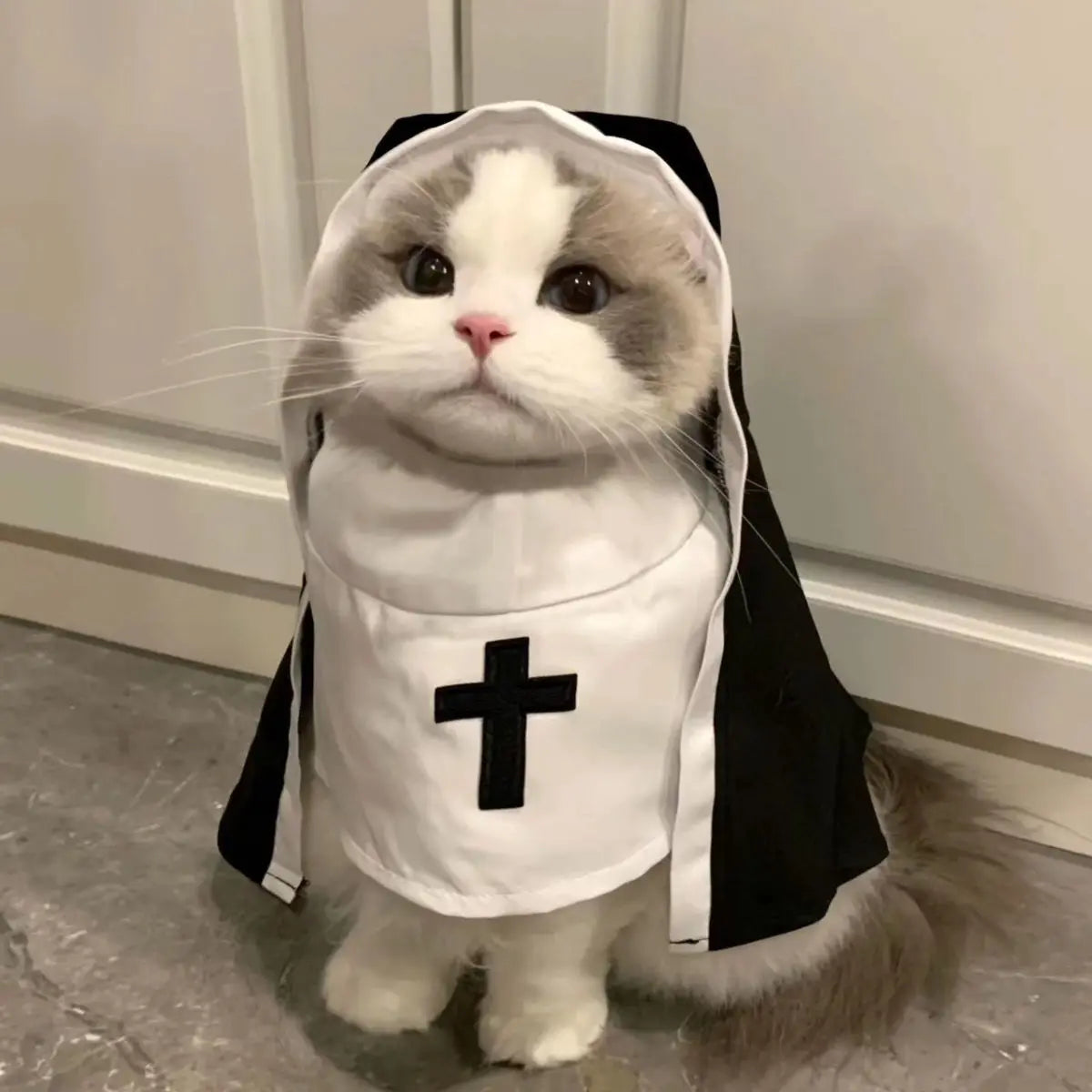 Cute Cat Dress Up Party Kitten Jesus  Clothes For Small Medium Dogs Cats Funny Cat Cosplay Party Costumes  Puppy Pet Accessory