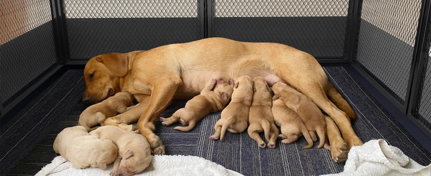 Heavy Duty Large Dog Playpen Pet Exercise Run Enclosure Fence Pet Whelping Pen Box with Waterproof Fertility Mat Indoor Outdoor