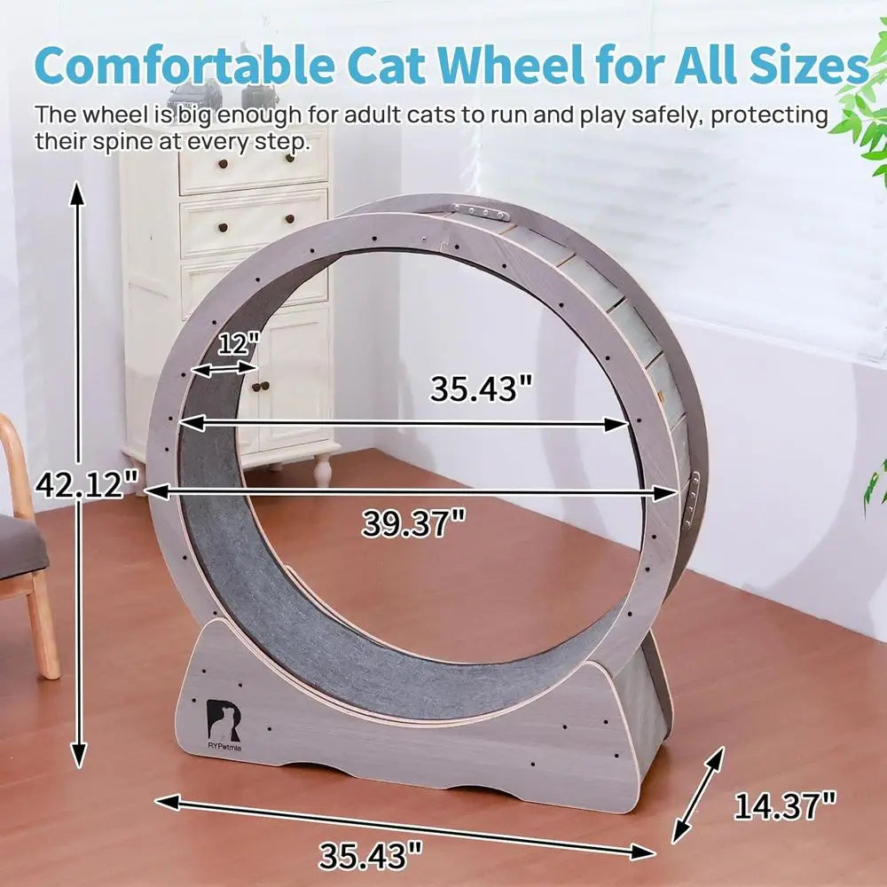Indoor Quiet Exercise Wheel for Cats, 55 lbs Capacity, Safety Lock Included
