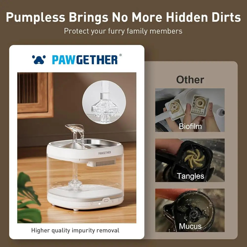 ® Cat Water Fountain, Ultra Quiet Pumpless Pet Water Fountain with Stainless Steel Tray, 67oz/2L Water Fountains for Cats Indoor