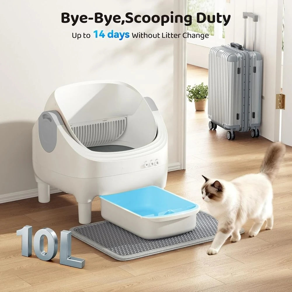 App-Controlled Open-Top Self-Cleaning Litter Box, 10L Capacity with Safety Sensor for Multiple Cats