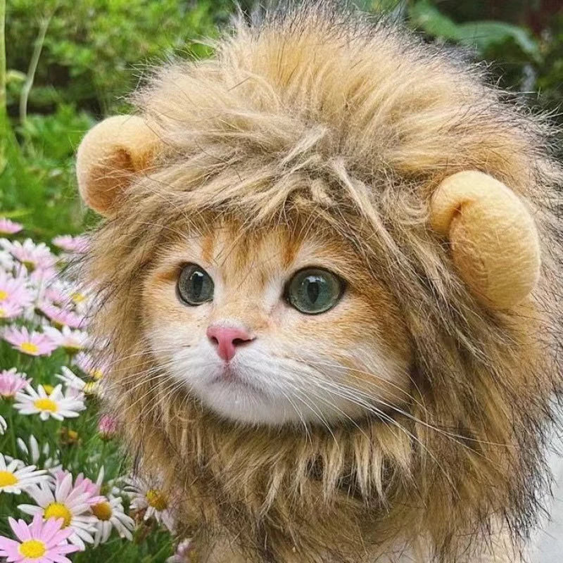 Pet Hairpiece - Humorous Lion Mane Headgear for Dogs and Cats, Adjustable Costume Accessories for Fun Dress-up and Play Cat hat