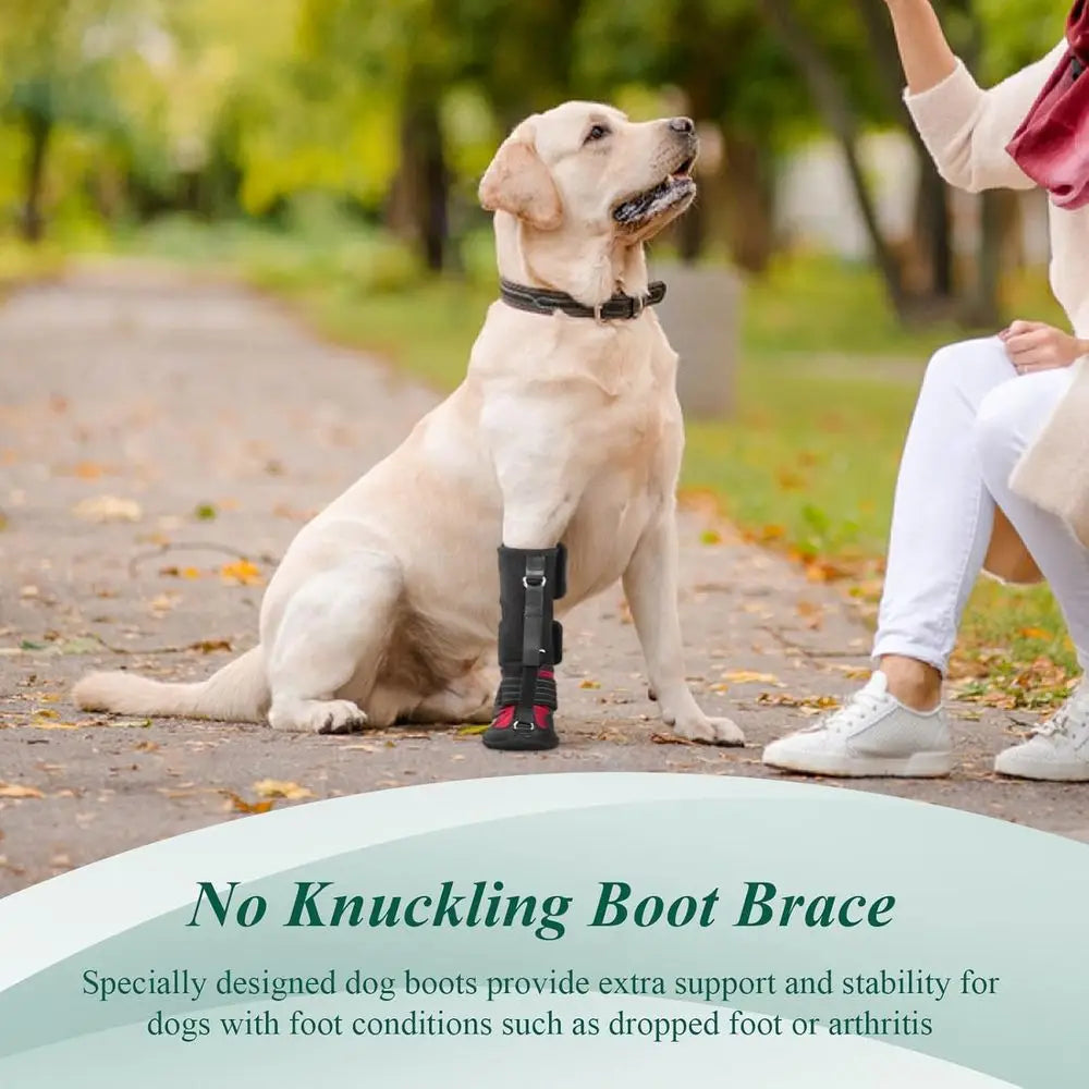 Strap-On Drop Foot Brace (No Knuckling Boot Brace) for Dogs— Corrective Dog Shoes to Safely Lift Toes for Foot Issues, Arthritis