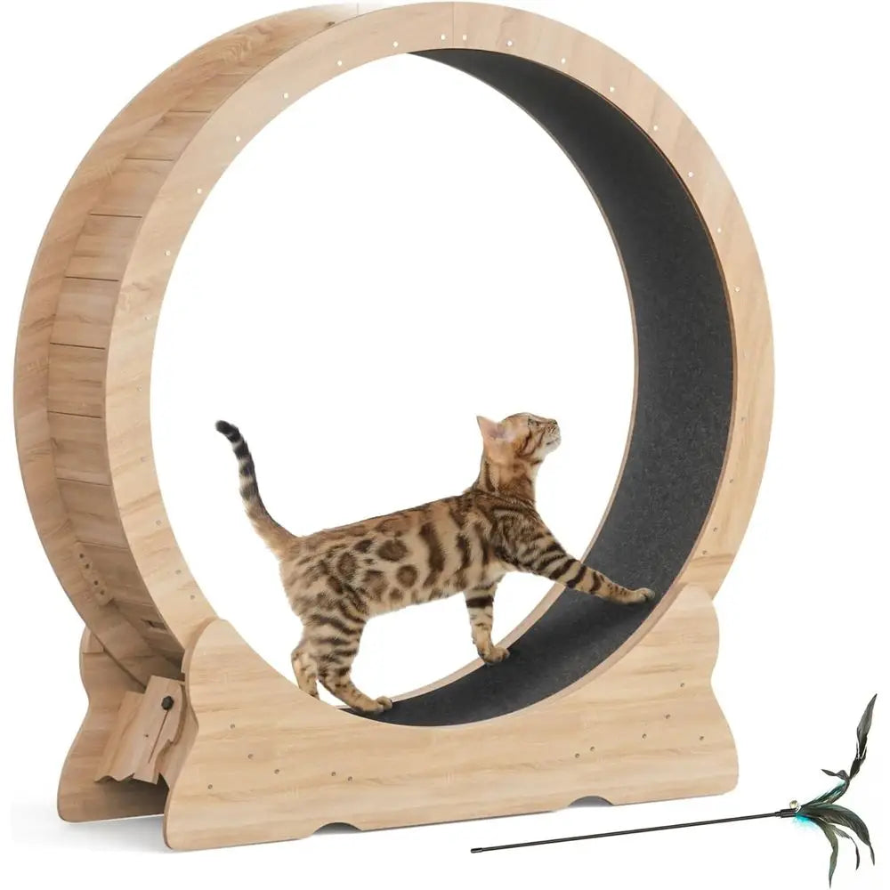 Extra Large 43.3 Indoor Cat Exercise Wheel with Removable Carpet and Teaser for Running, Walking, and Training - Natural Wood