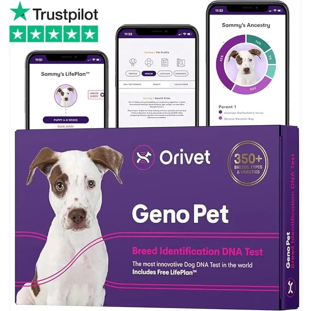 ORIVET GenoPet Dog DNA Test – Dog Breed Test Kit USA | Canine Ancestry & Genetic Health Screening by Age, Weight & Gender | at-H