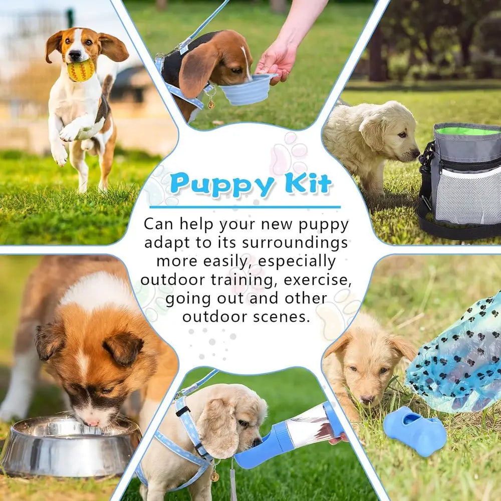 65 Pcs Puppy Supplies Starter Kit Small Dog Essentials Includes Dog Leash, Toys, Bowl, Brushes, Water Bottles, pet Blankets Pupp