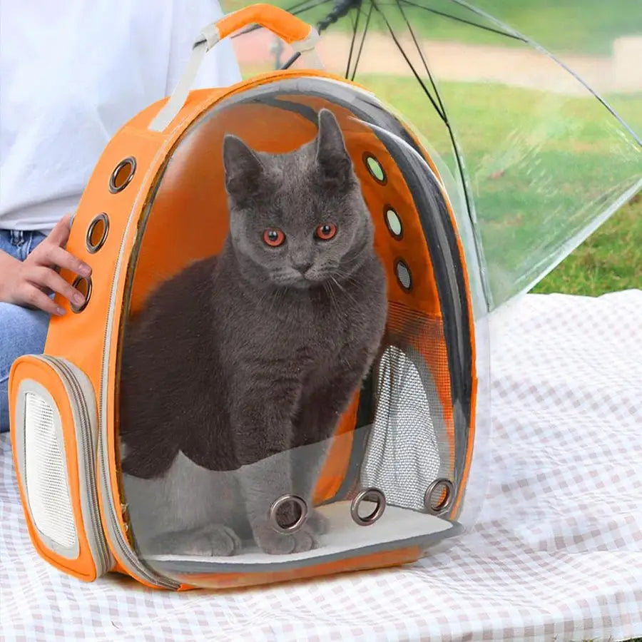 Backpack Carrier Back Expandable Bubble Pet Carrier Backpack for Large Cat, Kitten and Dog, Designed for Hiking, Travelling and
