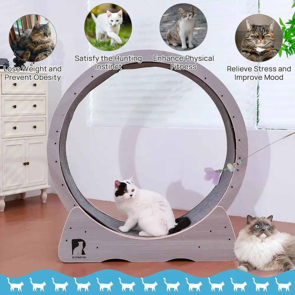 Indoor Quiet Exercise Wheel for Cats, 55 lbs Capacity, Safety Lock Included