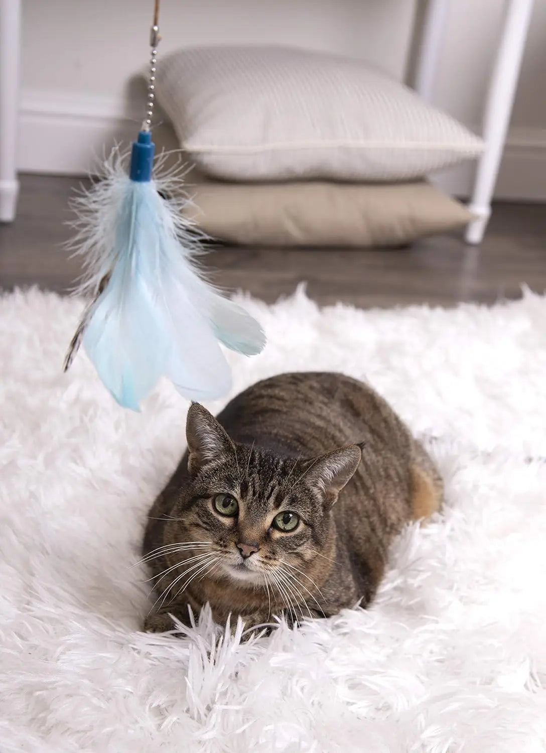 Frisky Flyer Feather Wand Cat Toy, Extendable Up to 24" - Blue, One Size