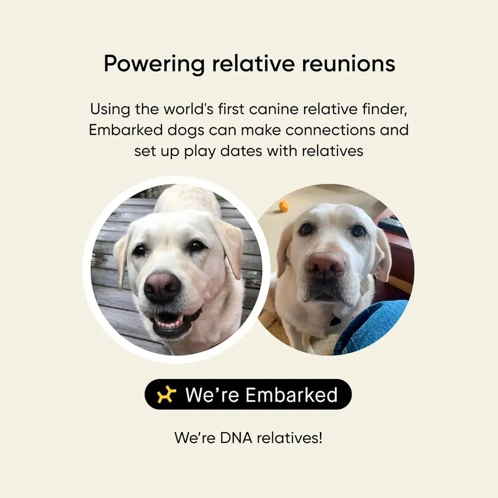 Embark Breed & Health Kit - Dog DNA Testing Kit - Discover Breed, Ancestry, Relative Finder, Genetic Health, Traits, Allergy Ris
