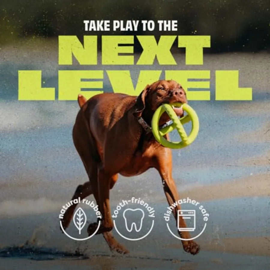 Bundle of Wishbone Durable Dog Chew Toy for Aggressive Chewers Real Bacon Made in USA Medium + Natural Rubber Tug Interactive D