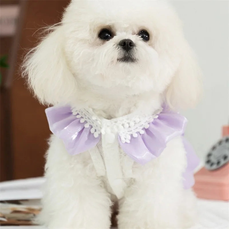 Adorable Small Dog Tutu Dress with Bowknot Lace Princess Puppy Clothes Outfit Apparel Female Cute Cat Skirt Patchwork Pet Dress