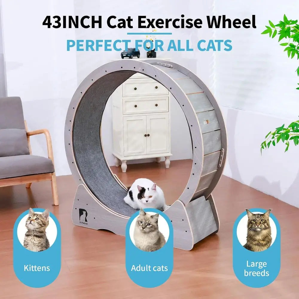 Indoor Quiet Exercise Wheel for Cats, 55 lbs Capacity, Safety Lock Included