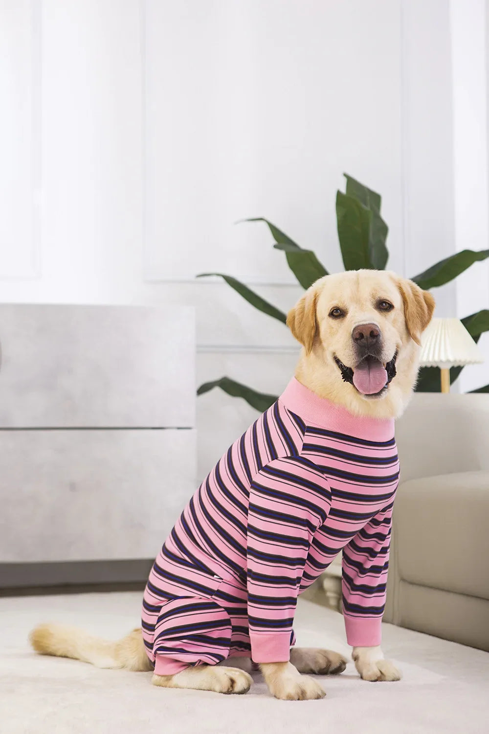 Full Cover Dog Jumpsuit Dog Recovery Suit After Surgery Anti Shedding Bodysuit Pet Claming Pajamas for Small Medium Large Dogs