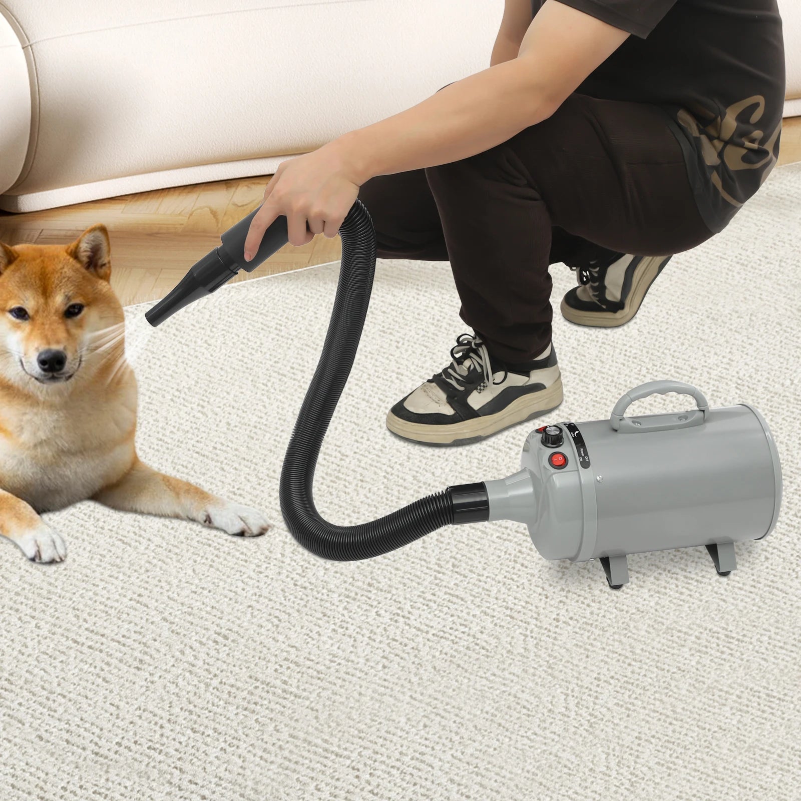 2200w High-Power Dog Blow Dryer Adjustable Wind Speed Cat Hair Dryer Professional Drier Pet Supplies for Pet Hair Grooming