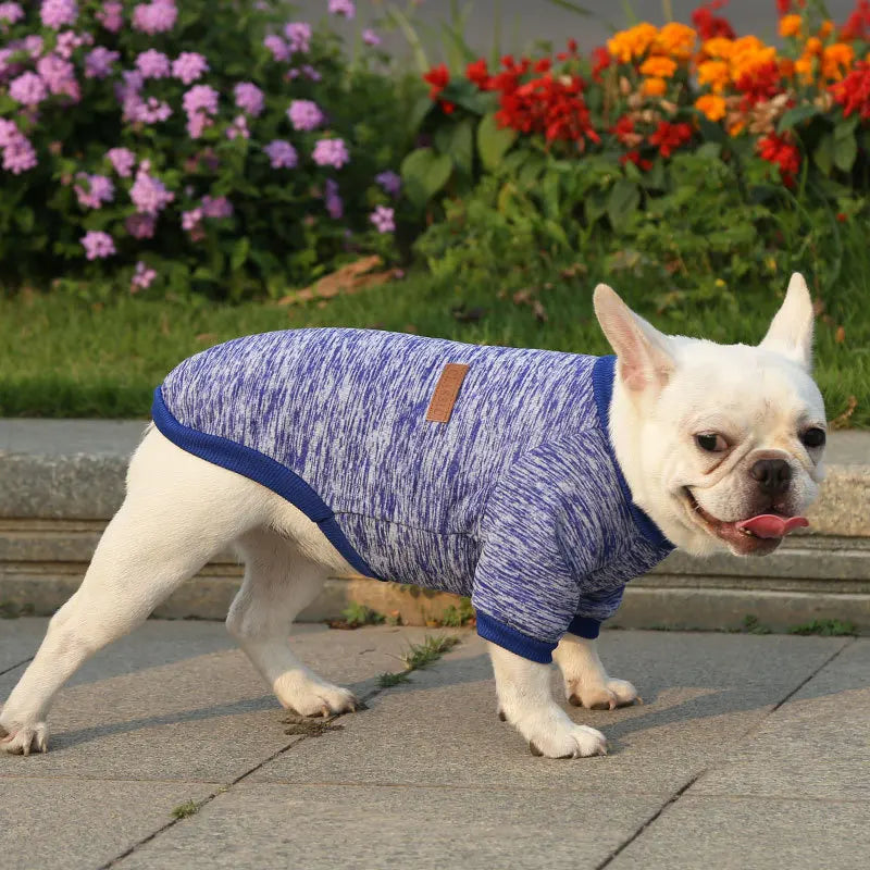 Manufacturer Customizes French Bulldog, Pug, Dog, Cat, Pet Clothes, Autumn and Winter Sweatshirts, Two-Legged Clothing Supplies, Yarn