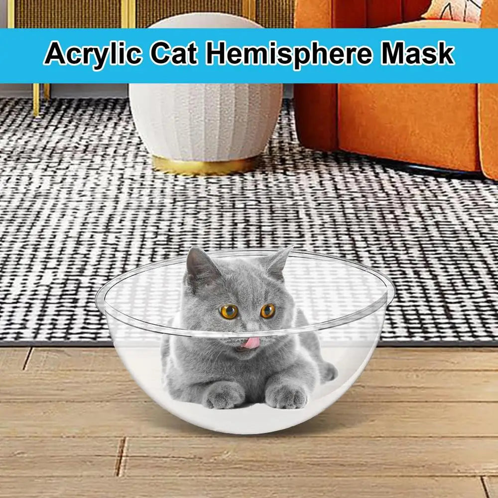 Space Capsule Cat Bed Nesting Bed Pet Supplies Indoors Outdoors Transparent Capsule Dome Cover Kitten Nest for Lounging Pets