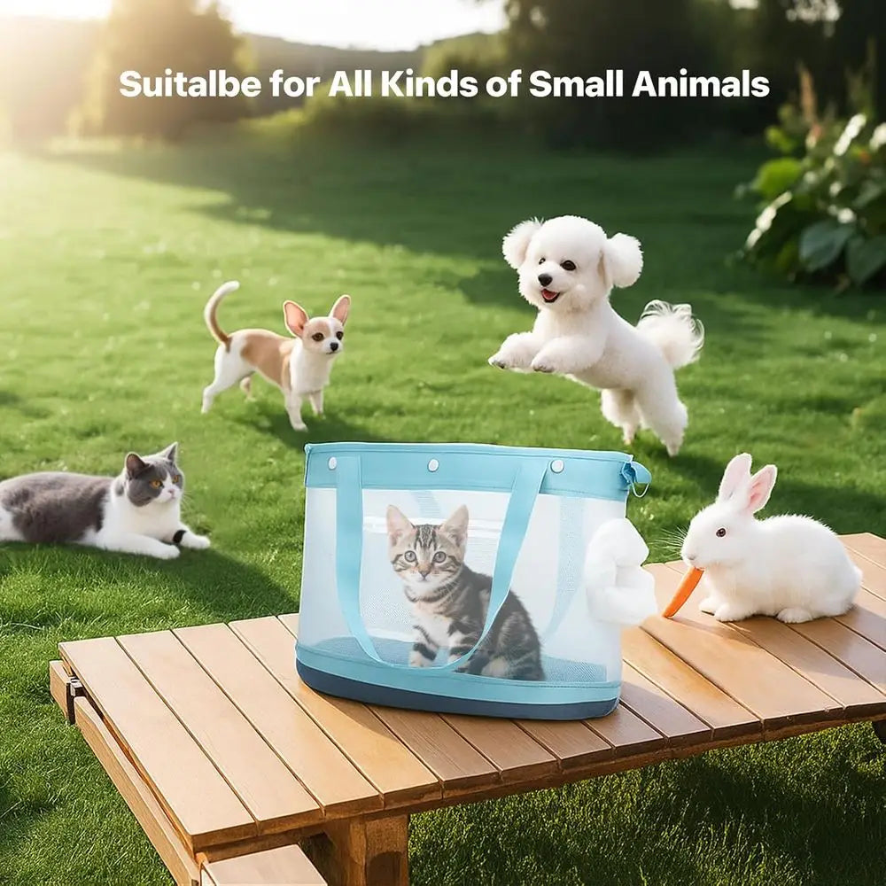 Dog Purse Carrier for Small Dogs, Cats - Dog Carrier Purse for Small Animals up to 22lbs, Collapsible Breathable Pet Carrier Sli