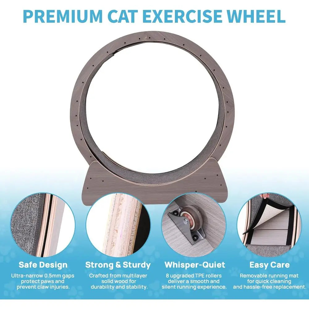 Indoor Quiet Exercise Wheel for Cats, 55 lbs Capacity, Safety Lock Included