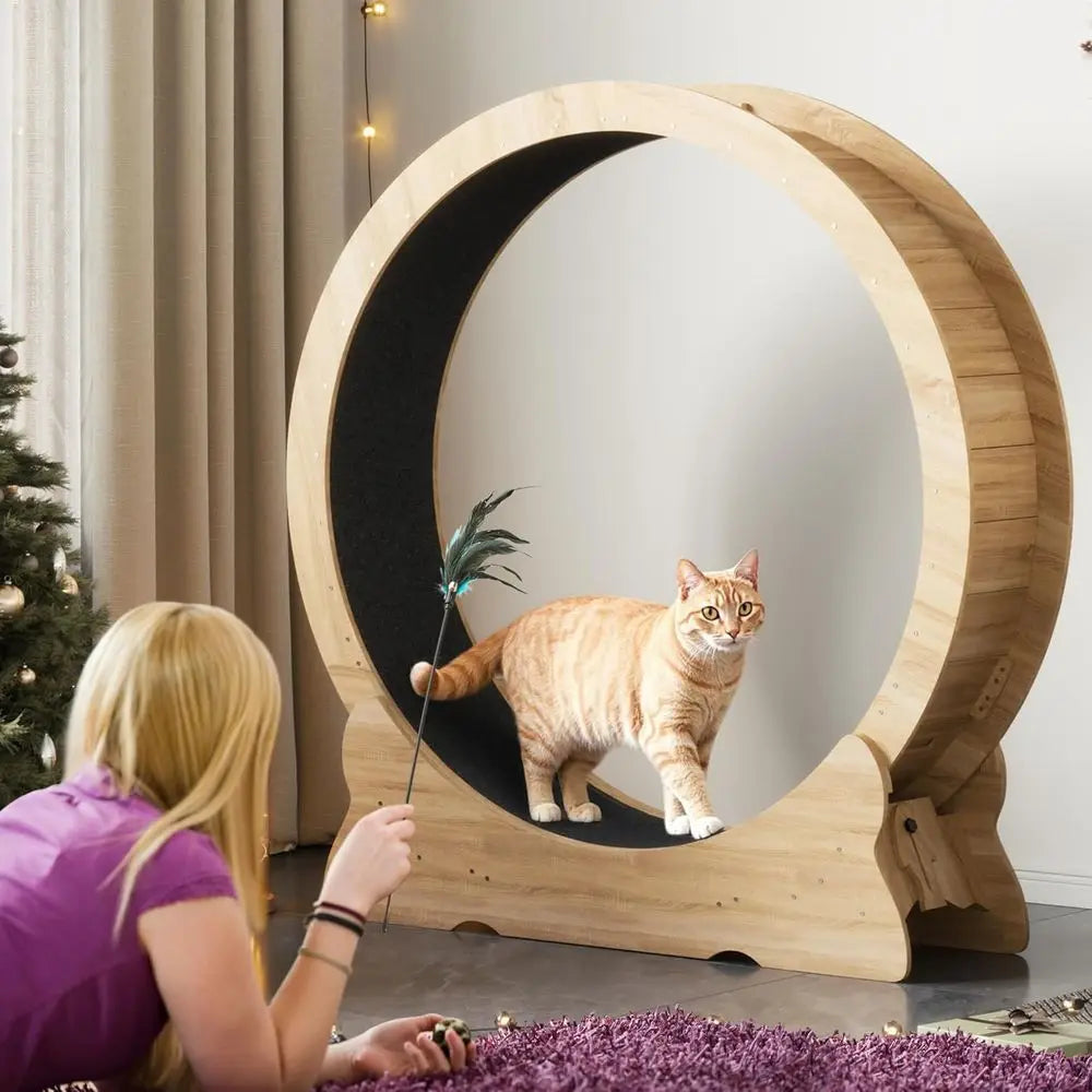 Extra Large 43.3 Indoor Cat Exercise Wheel with Removable Carpet and Teaser for Running, Walking, and Training - Natural Wood