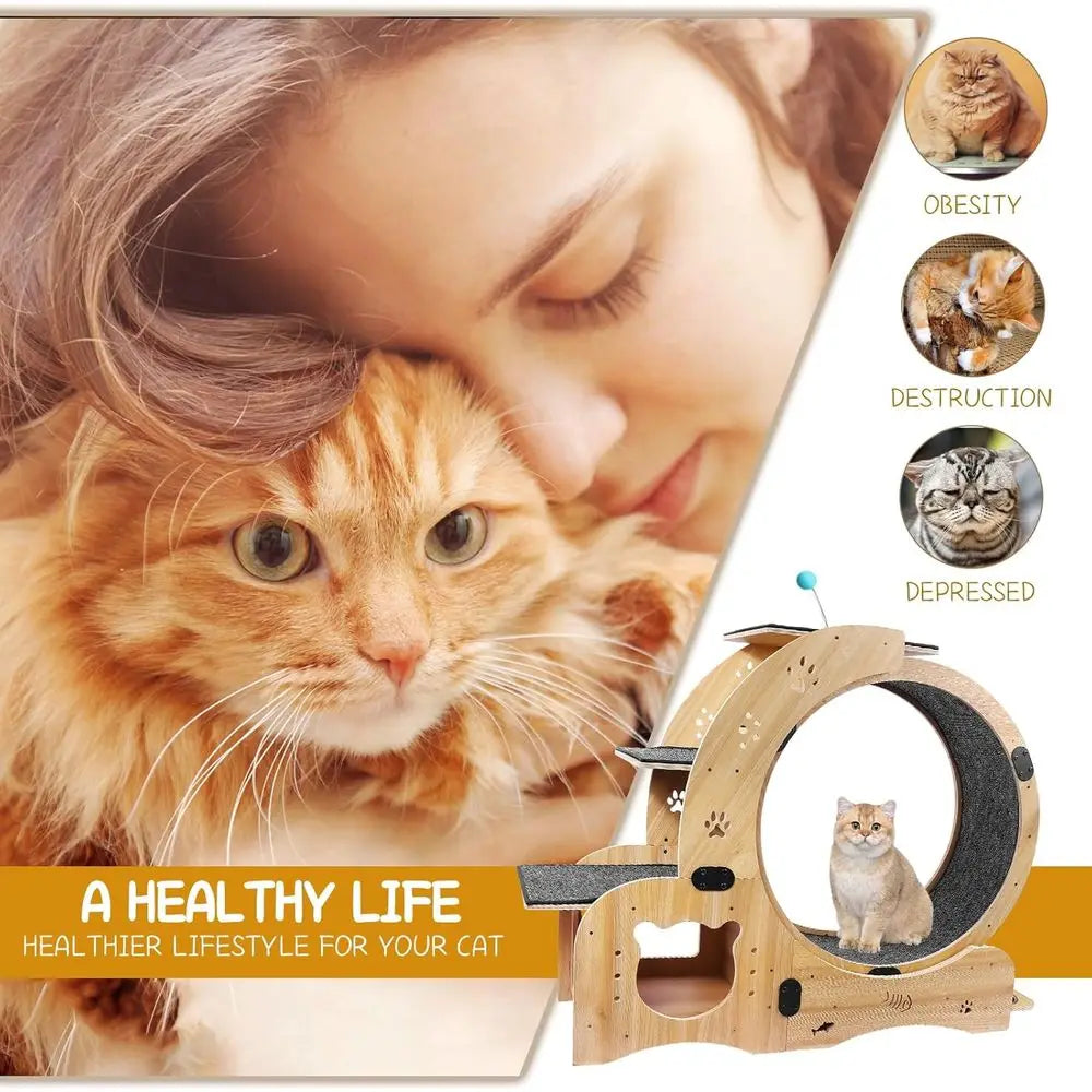 6-in-1 Cat Activity Center: 55 Exercise Wheel, Bed, Scratcher, Climbing, Toys