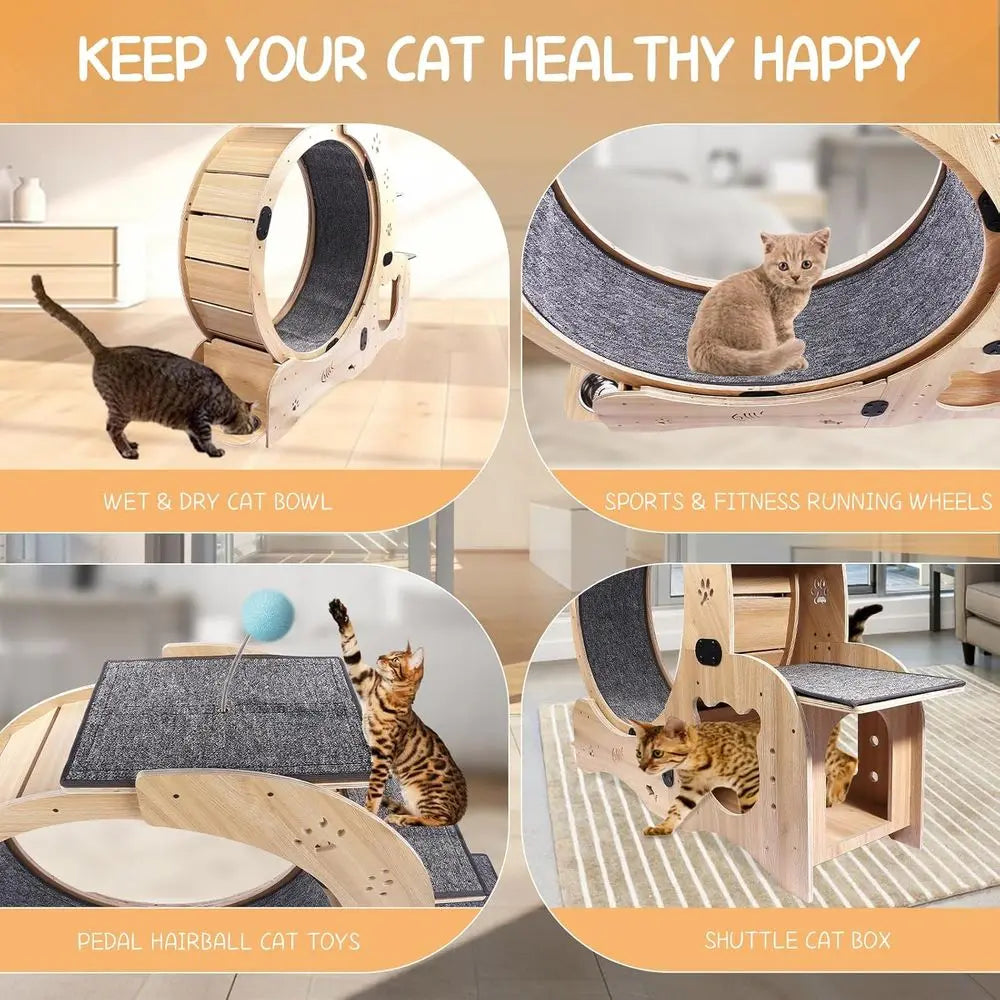 6-in-1 Indoor Cat Wheel: Exercise, Scratch, Climb, Play & Rest - Ideal for Large Cats