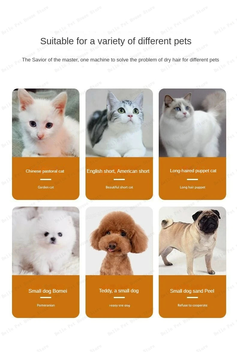 Household Pet Drying Box Water Blower Blowing Box Cat & Dog Dryer Intelligent Drying Box Sterilizable Dog Dryer Machine