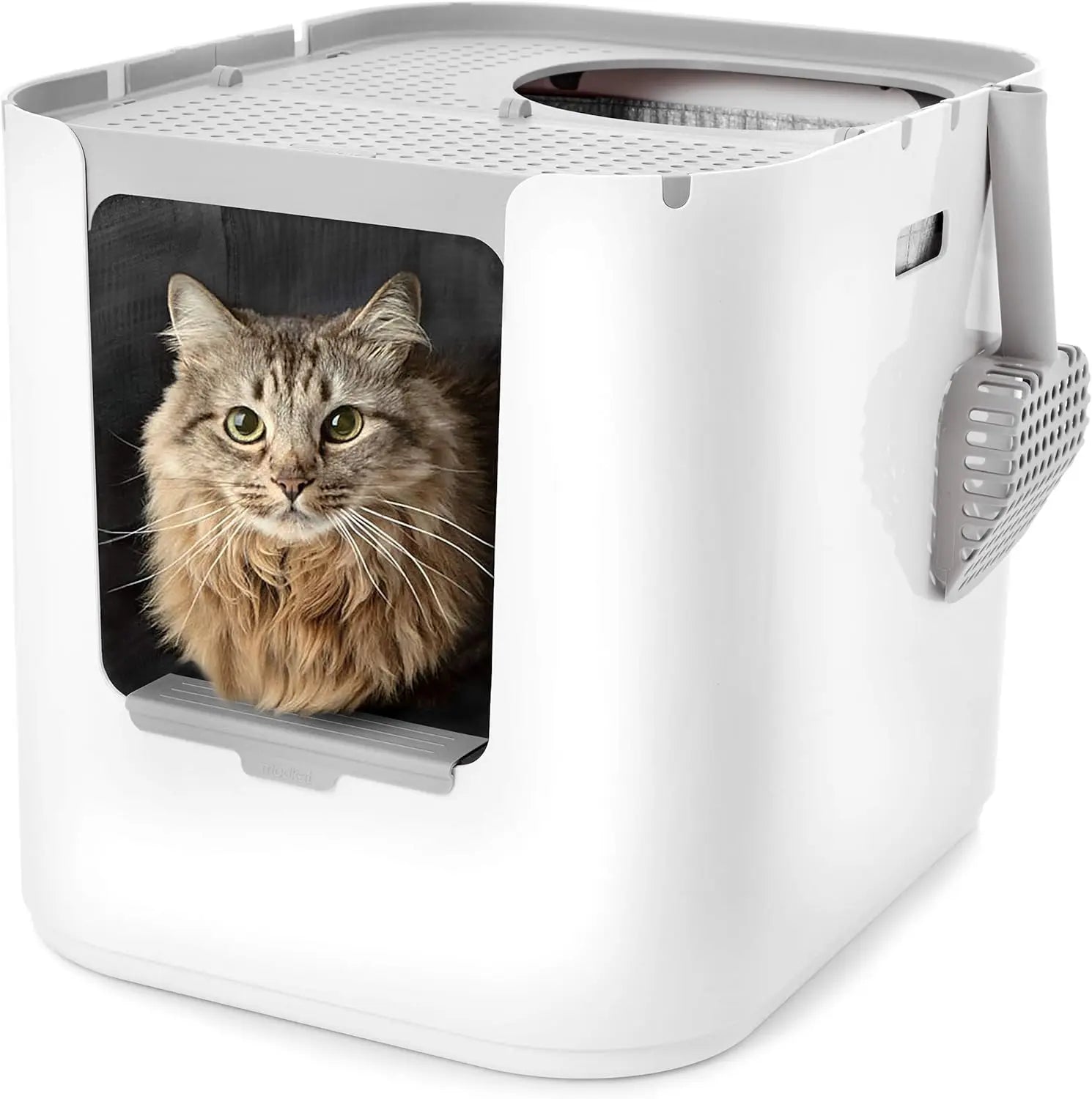 XL Litter Box, Top or Front-Entry Configurable, Full Height Seamless Base, Reusable Litter Liners, Sifting Litter Scoop,Customiz