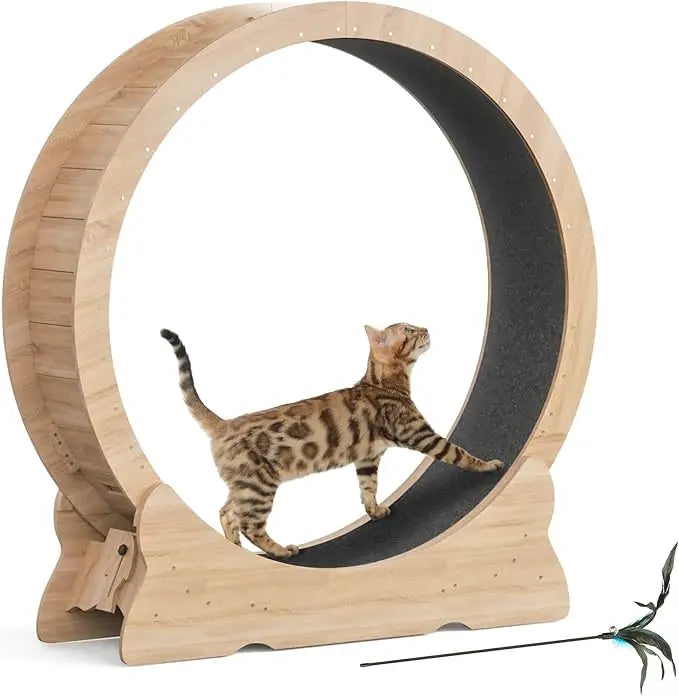 Extra Large 43.3 Indoor Cat Exercise Wheel with Removable Carpet and Teaser for Running, Walking, and Training - Natural Wood