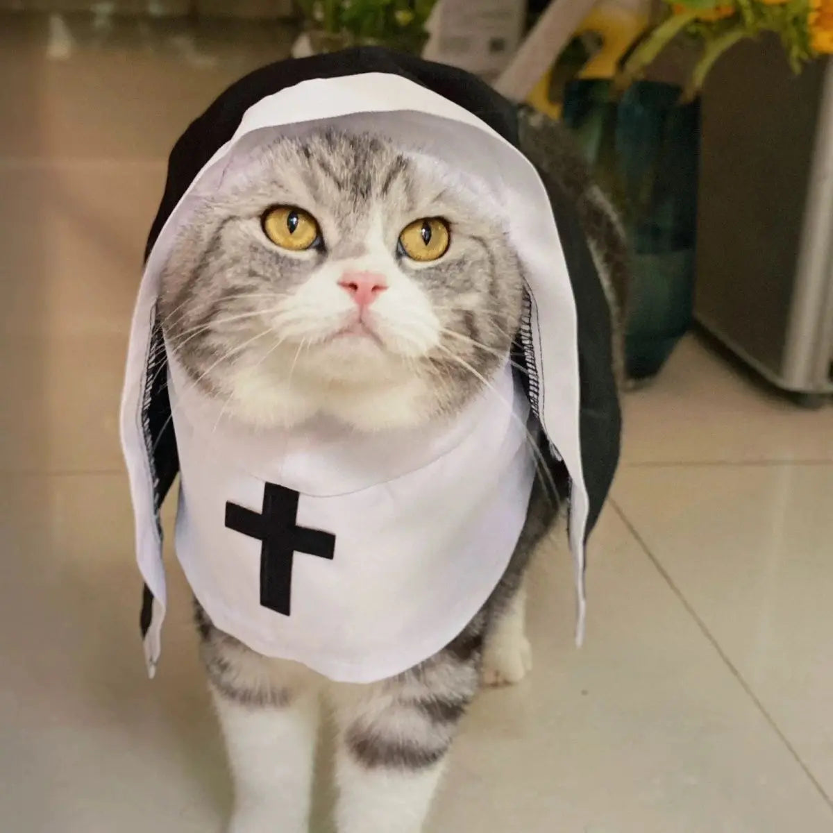 Cute Cat Dress Up Party Kitten Jesus  Clothes For Small Medium Dogs Cats Funny Cat Cosplay Party Costumes  Puppy Pet Accessory