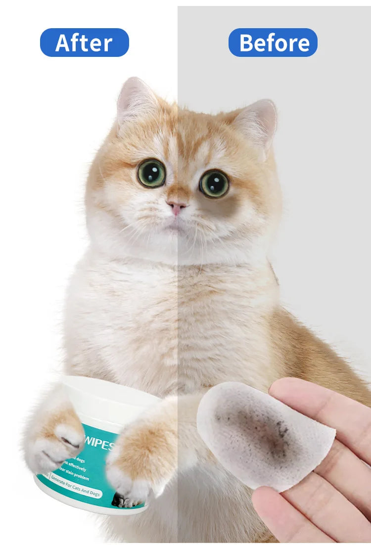 Pet Cleaning Products Eye Wipes To Remove Tear Marks Cleaning Wet Tissues Cat Wiping Eyes Removing Tear Marks