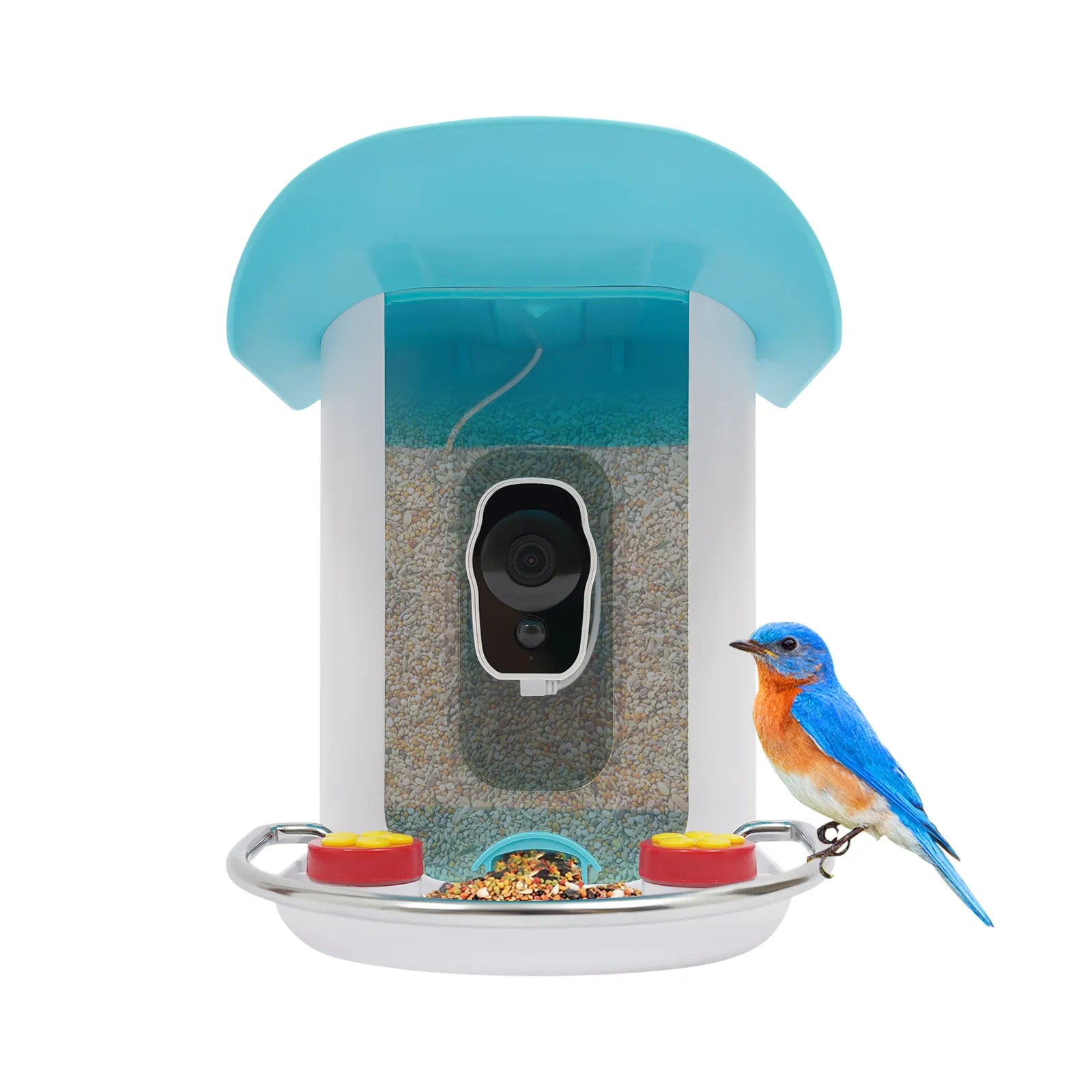 Smart Bird Feeder with Camera, Bird House for Outside, Bird Auto Capture with Solar Panel Can Attract Sparrows, Hummingbirds
