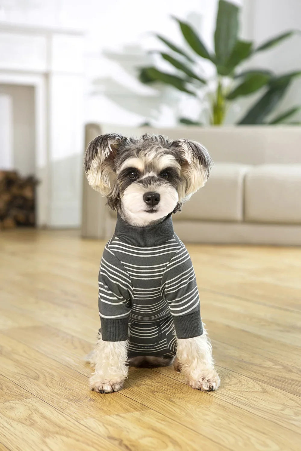 Full Cover Dog Jumpsuit Dog Recovery Suit After Surgery Anti Shedding Bodysuit Pet Claming Pajamas for Small Medium Large Dogs