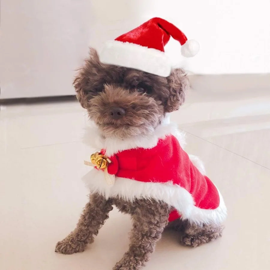 Pet Christmas Costume: Santa Hat & Red Warm Cloak for Cats, Small Dogs & Rabbits