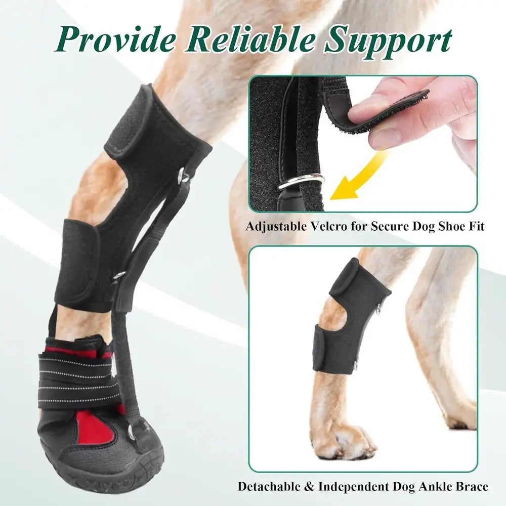 Strap-On Drop Foot Brace (No Knuckling Boot Brace) for Dogs— Corrective Dog Shoes to Safely Lift Toes for Foot Issues, Arthritis