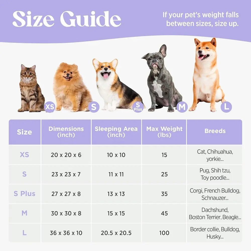 Round Plush Dog Bed for Large Dogs and Cats, 36 Pink Taffy, Washable, Anti-Anxiety, Modern Design with Anti-Slip Base