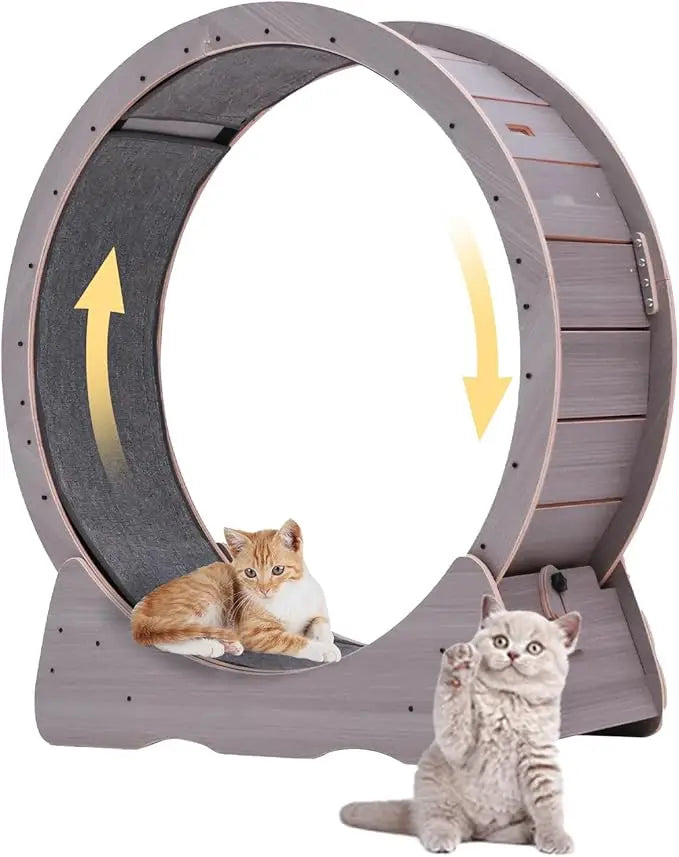 Indoor Quiet Exercise Wheel for Cats, 55 lbs Capacity, Safety Lock Included
