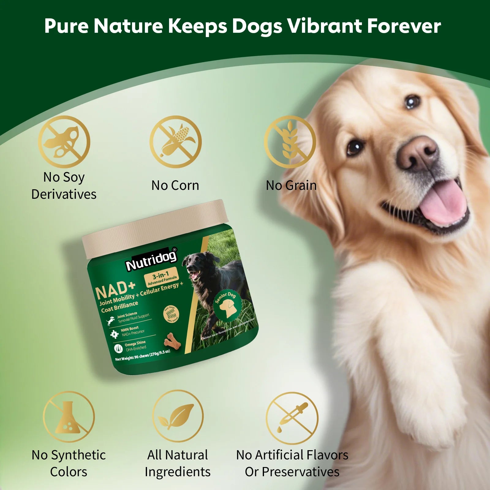 NUTRIDOG Senior Dog Vitamins Chews NAD Joint Mobility Cellular Energy Coat Brilliance Support for 3-In-1 Dogs Soft Chews