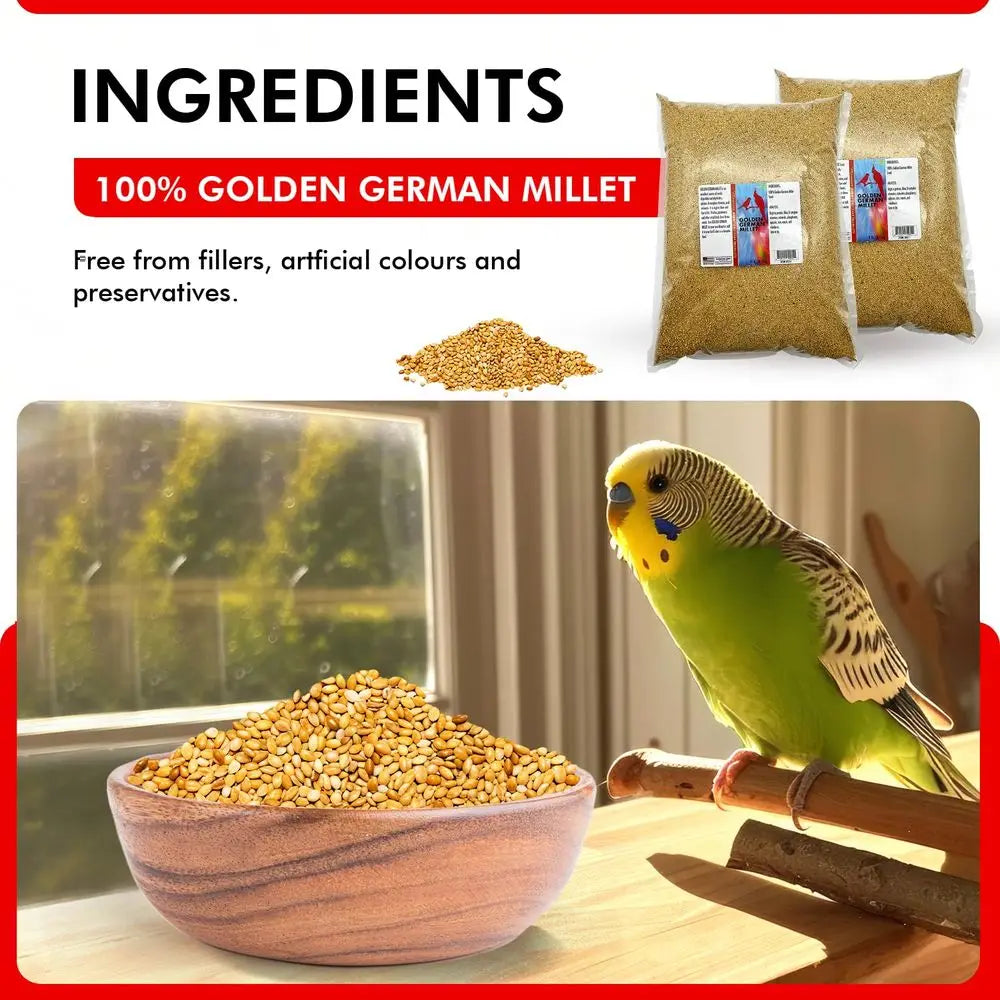 Golden German Millet – Bird Seed & Parakeet Food with Protein & Vitamin B – Easy-to-Digest Millet Seed, Natural Food & Daily Nut