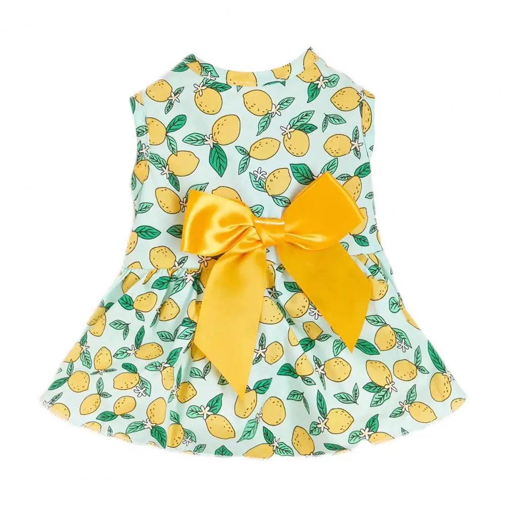 Beautiful Pet Skirt Decorating Cat Skirt Breathable Lemon Printing Summer Dog Two-legged Clothes