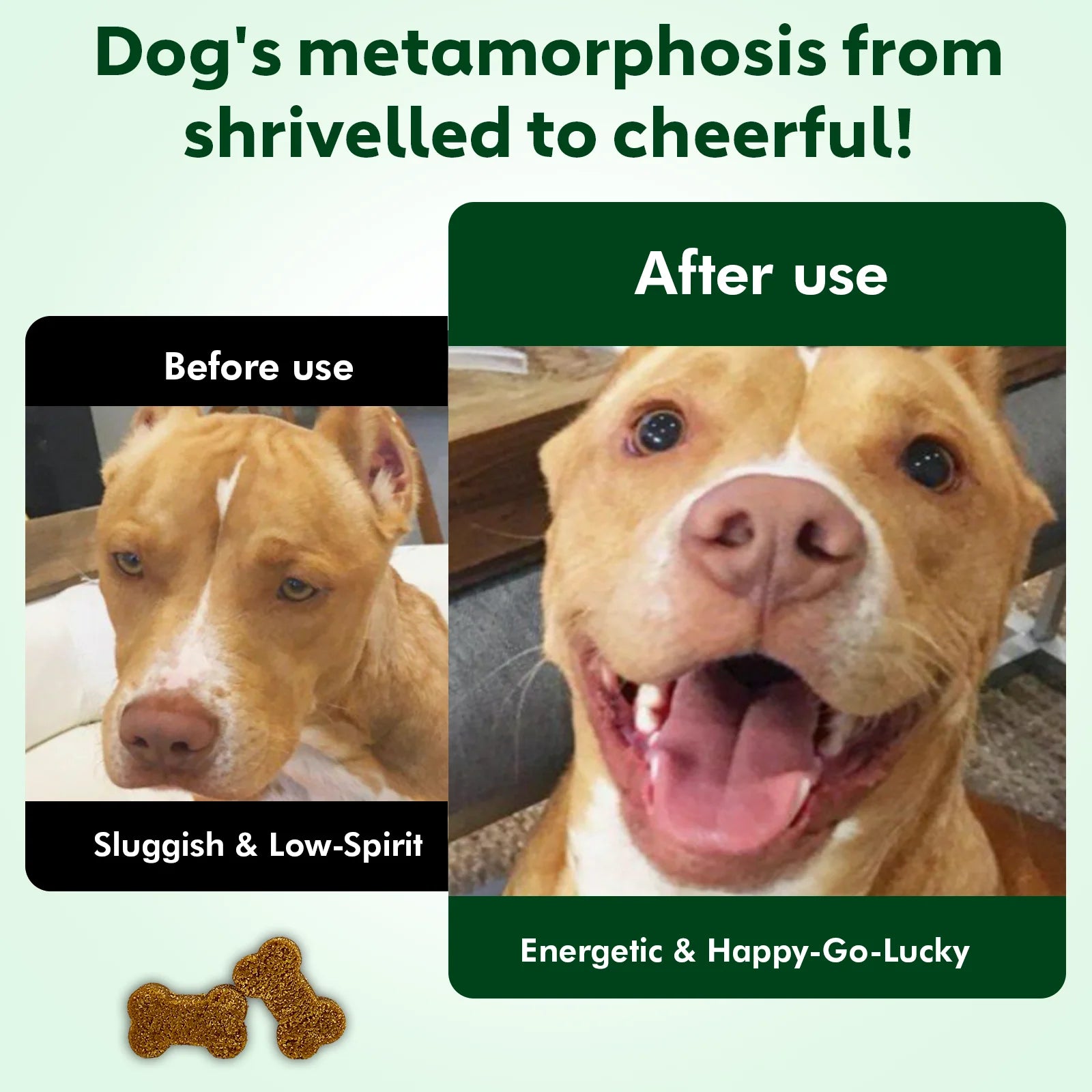 NUTRIDOG Senior Dog Vitamins Chews NAD Joint Mobility Cellular Energy Coat Brilliance Support for 3-In-1 Dogs Soft Chews