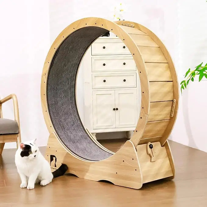 Indoor Quiet Exercise Wheel for Cats, 55 lbs Capacity, Safety Lock Included