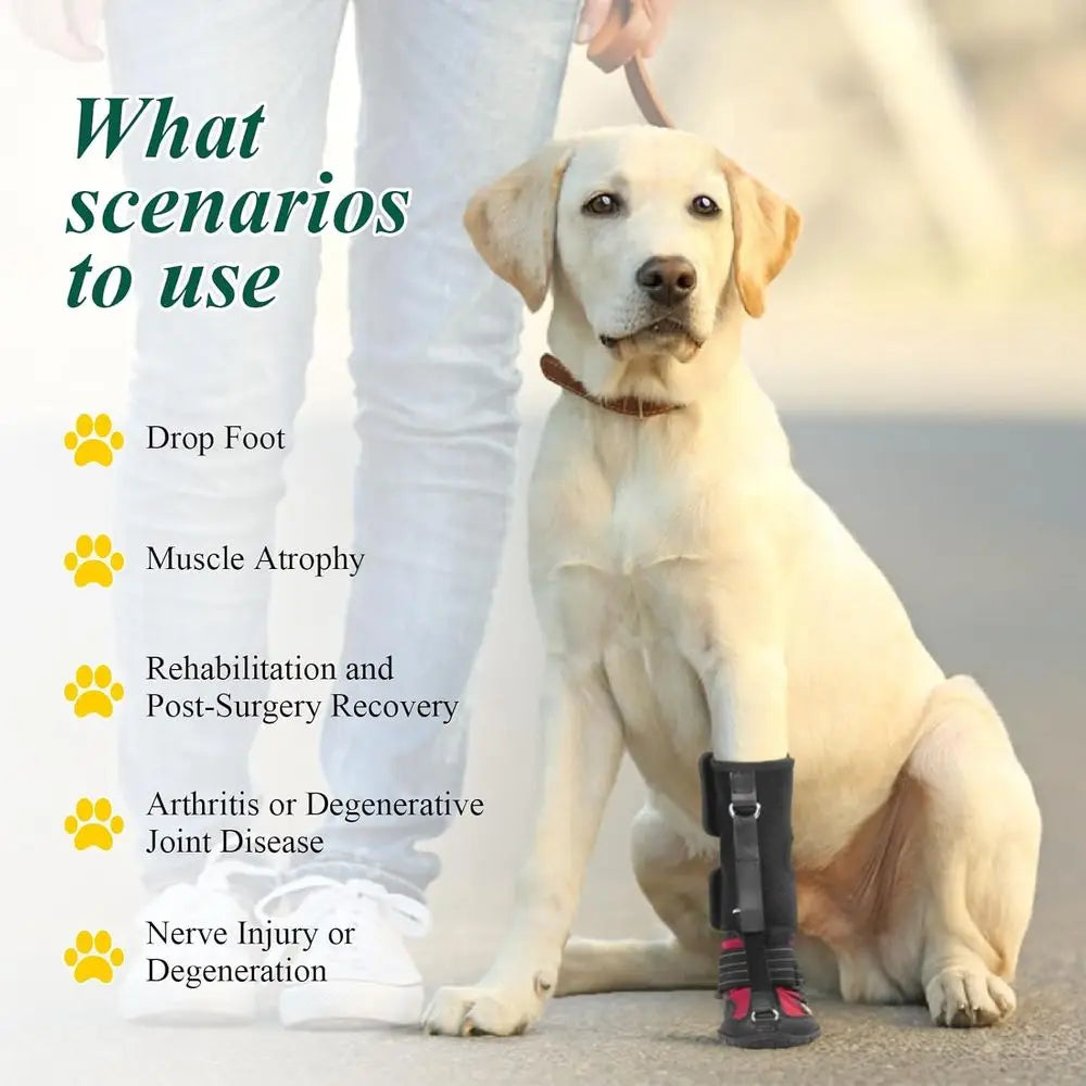 Strap-On Drop Foot Brace (No Knuckling Boot Brace) for Dogs— Corrective Dog Shoes to Safely Lift Toes for Foot Issues, Arthritis