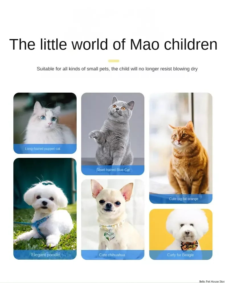 Household Pet Drying Box Pet Water Blower and Hair Dryer Box Pet Dry Room Cat and Dog Dryer Multifunctional Pet Hair Dryer