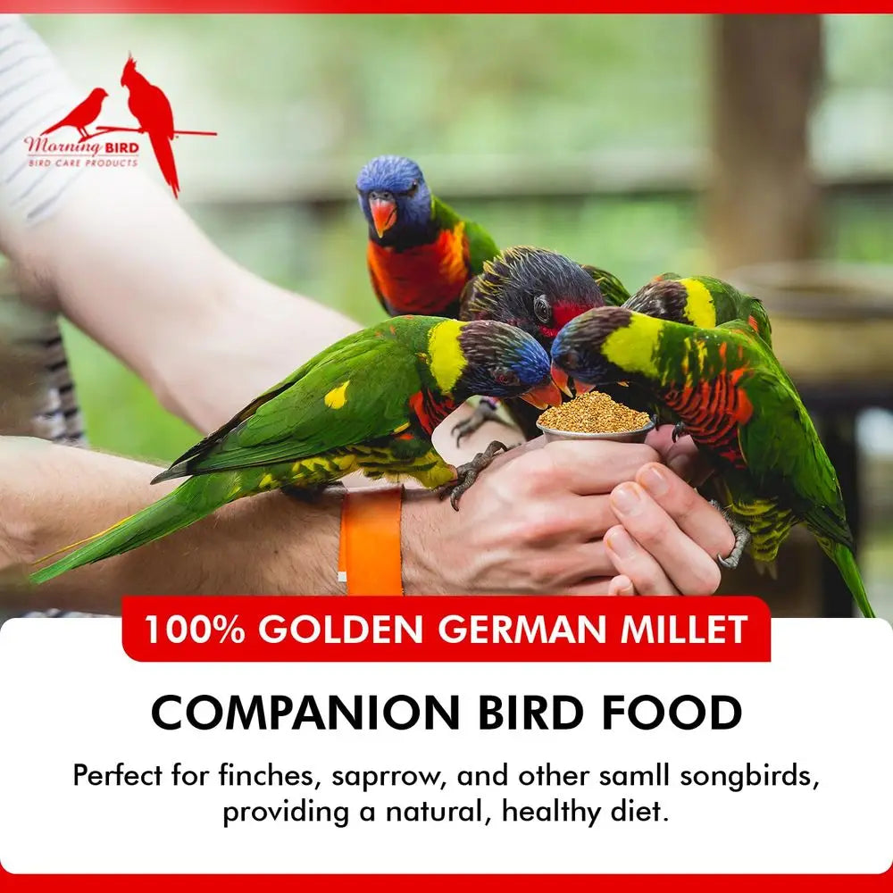 Golden German Millet – Bird Seed & Parakeet Food with Protein & Vitamin B – Easy-to-Digest Millet Seed, Natural Food & Daily Nut