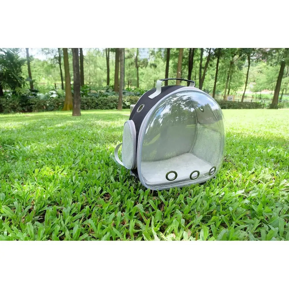 Small Animal Carrier Backpack for Guinea Pig Bird Bunny Cat Kitten Lizard Rabbit Squirrel Beared Dragon Portable Travel Carrier